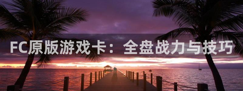 天美娱乐平台登录：FC原版游戏卡：全盘战力与技巧