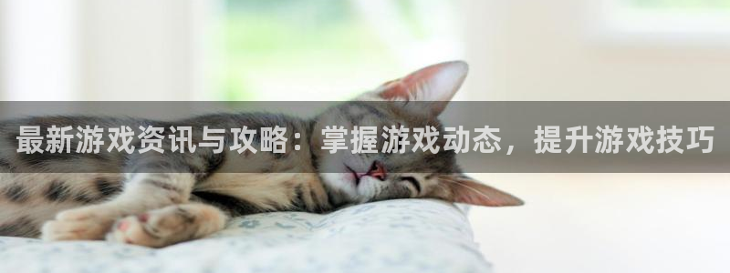 天美娱乐2登录：最新游戏资讯与攻略：掌握游戏动态，提升游戏技