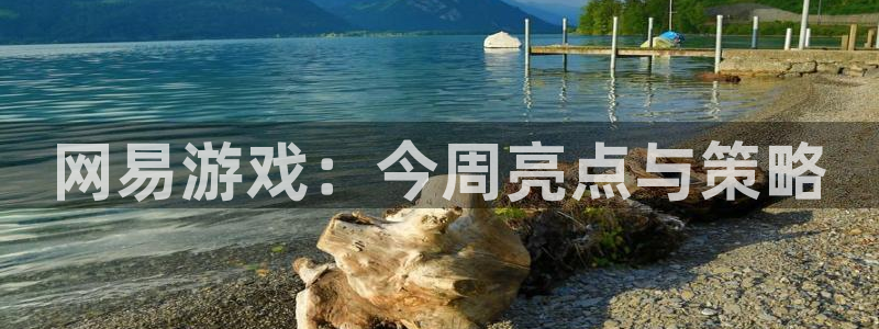 天美娱乐主管：网易游戏：今周亮点与策略