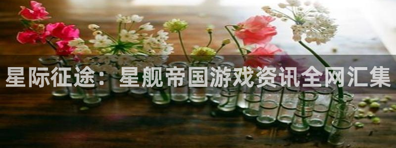 天美娱乐平台登录地址：星际征途：星舰帝国游戏资讯全网汇集