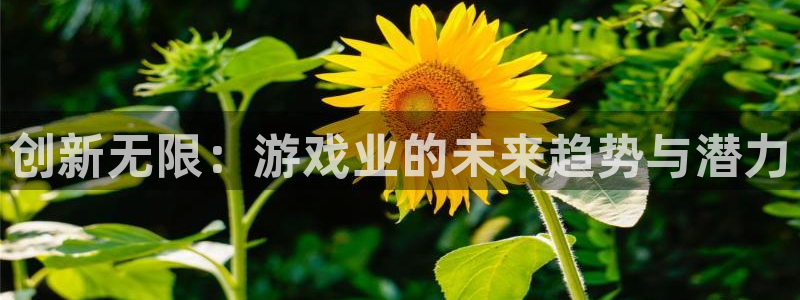 天美娱乐官网国产AV：创新无限：游戏业的未来趋势与潜力