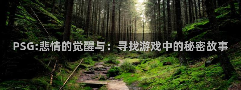 天美娱乐平台负责人：PSG:悲情的觉醒与：寻找游戏中的秘密故