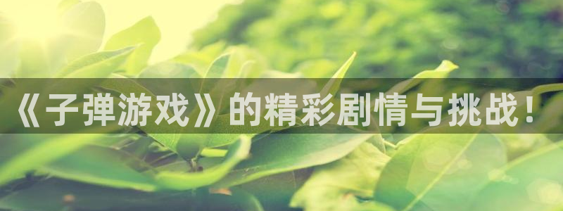 沐春天美娱乐：《子弹游戏》的精彩剧情与挑战！