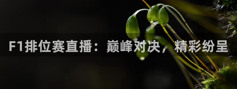 919体育直播间：F1排位赛直播：巅峰对决，精彩纷呈