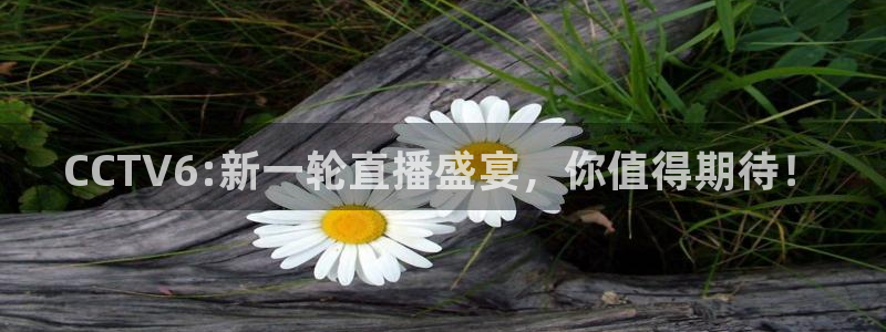 919看球直播nba：CCTV6:新一轮直播盛宴，你值得期待！