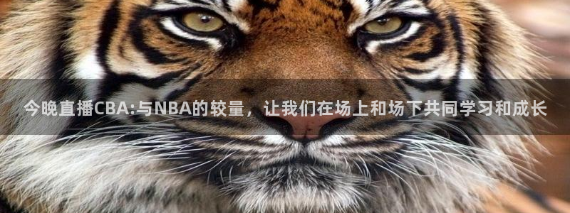 919直播看球 篮球比赛：今晚直播CBA:与NBA的较量，让我们在场上和场下共同学习和成长