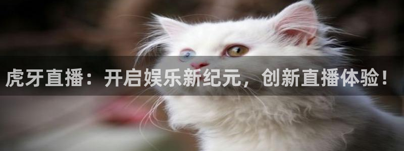 919足球直播：虎牙直播：开启娱乐新纪元，创新直播体验！