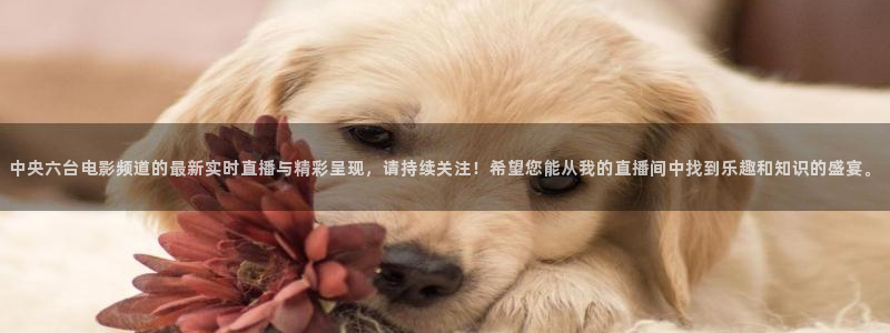 01zbtv直播体育919：中央六台电影频道的最新实时直播与精彩呈现，请持续关注！希望您能从我的直播间中找到乐趣和知识的盛宴。