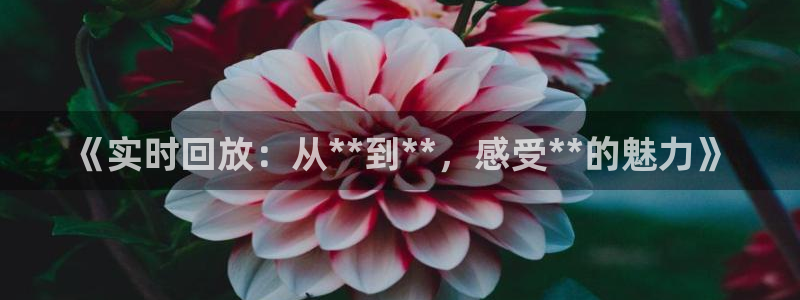 919nba直播：《实时回放：从**到**，感受**的魅力》