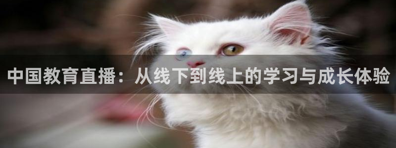 919直播吧体育：中国教育直播：从线下到线上的学习与成长体验