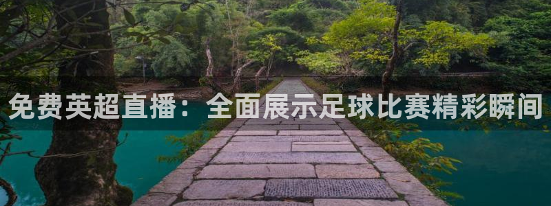919看球直播app：免费英超直播：全面展示足球比赛精彩瞬间