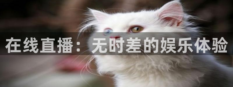 919nba直播篮球比赛：在线直播：无时差的娱乐体验