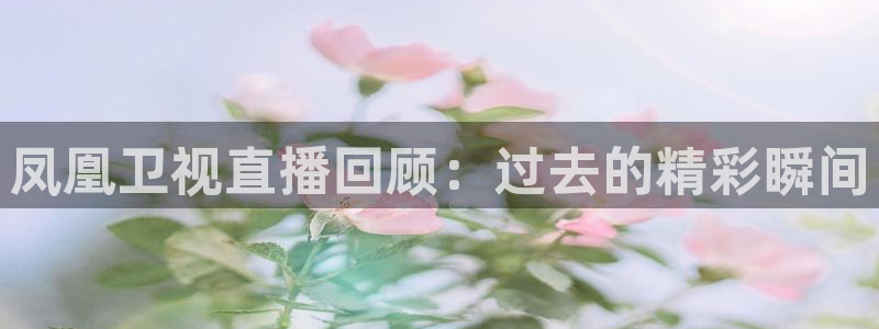 919 直播：凤凰卫视直播回顾：过去的精彩瞬间